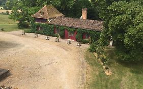 Le petit duc